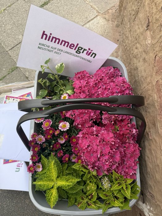 Ein Korb voller Blumen. 
